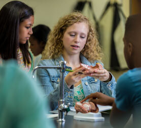 Student examining plastic model of internal body part.